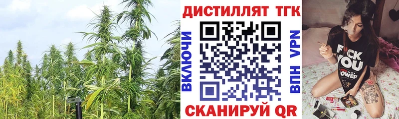 Дистиллят ТГК вейп  ОМГ ОМГ ссылки  Болотное  наркотики 