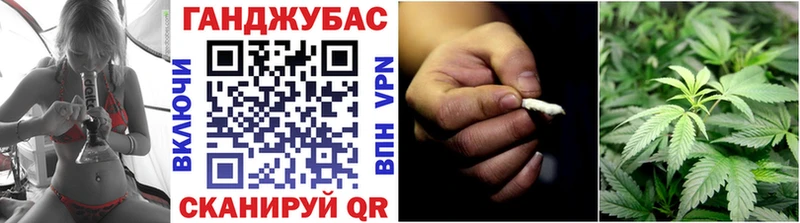Канабис сатива Болотное